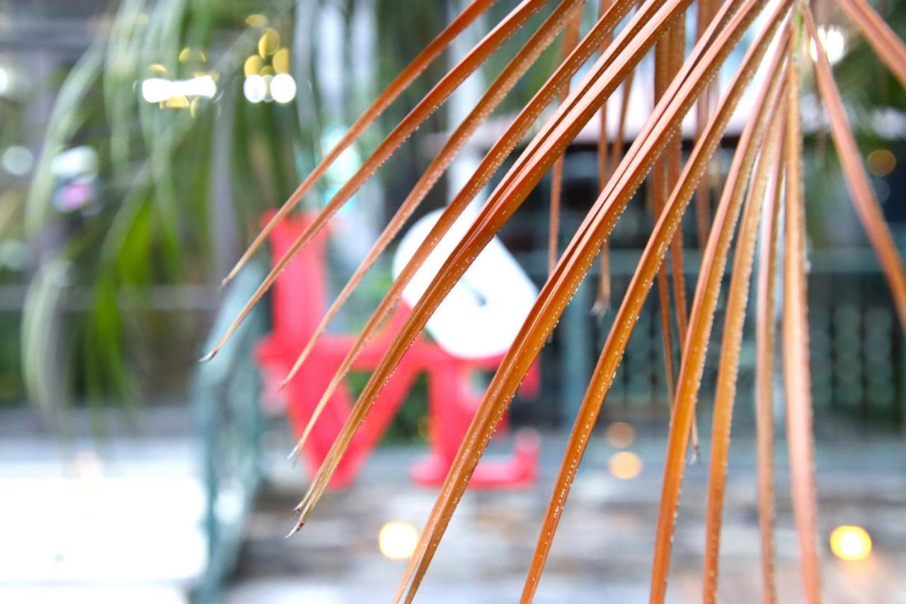 Ferienwohnung Blue Owl-Hualien No 2396-2397-2398-2399 Exterior foto